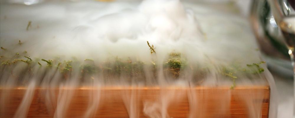 Liquid Nitrogen peat bog